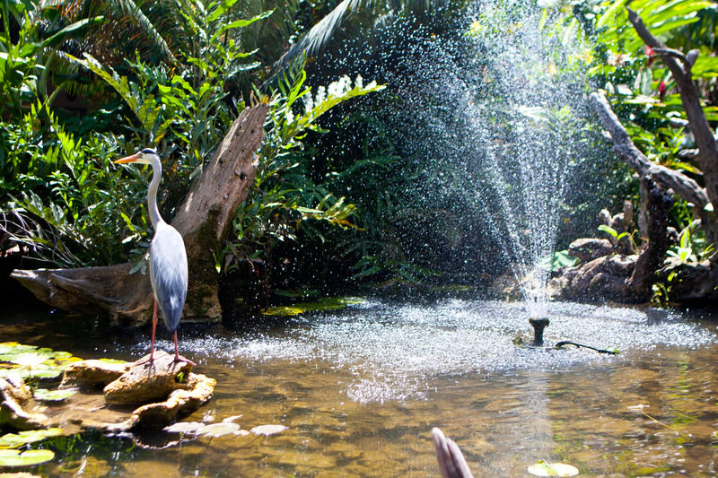 Leopard Beach شاطئ دياني المظهر الخارجي الصورة