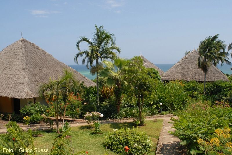 Leopard Beach شاطئ دياني المظهر الخارجي الصورة